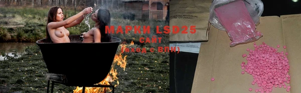 ГАЛЛЮЦИНОГЕННЫЕ ГРИБЫ Алзамай
