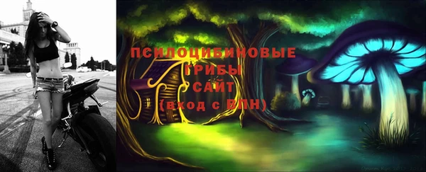 ALPHA PVP Переславль-Залесский