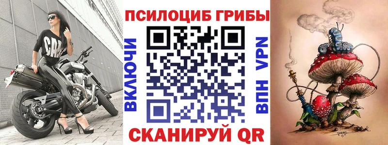 Галлюциногенные грибы мицелий  Курганинск 