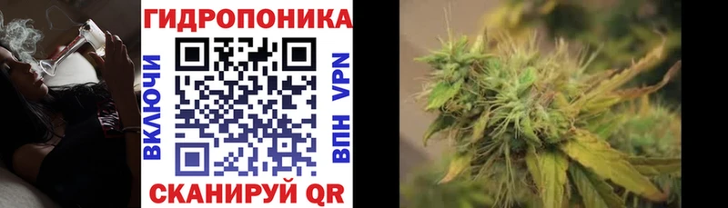 Бошки Шишки планчик  kraken как зайти  Курганинск 